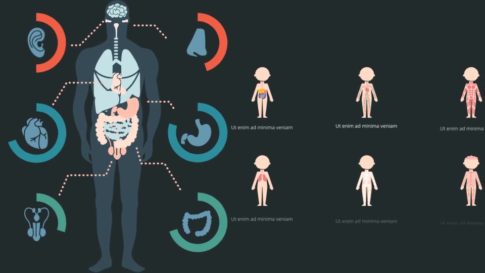 Medical Explainer Toolkit Healthcare Pack - Download Videohive 19756424