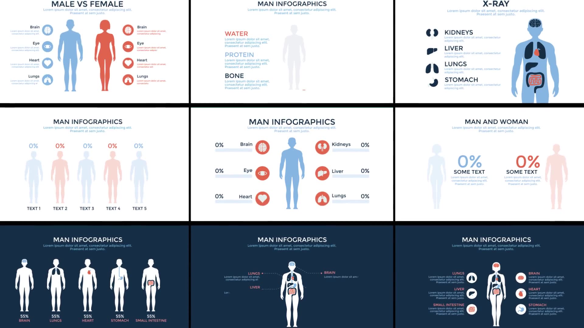 Medical Infographics - Download Videohive 19435869