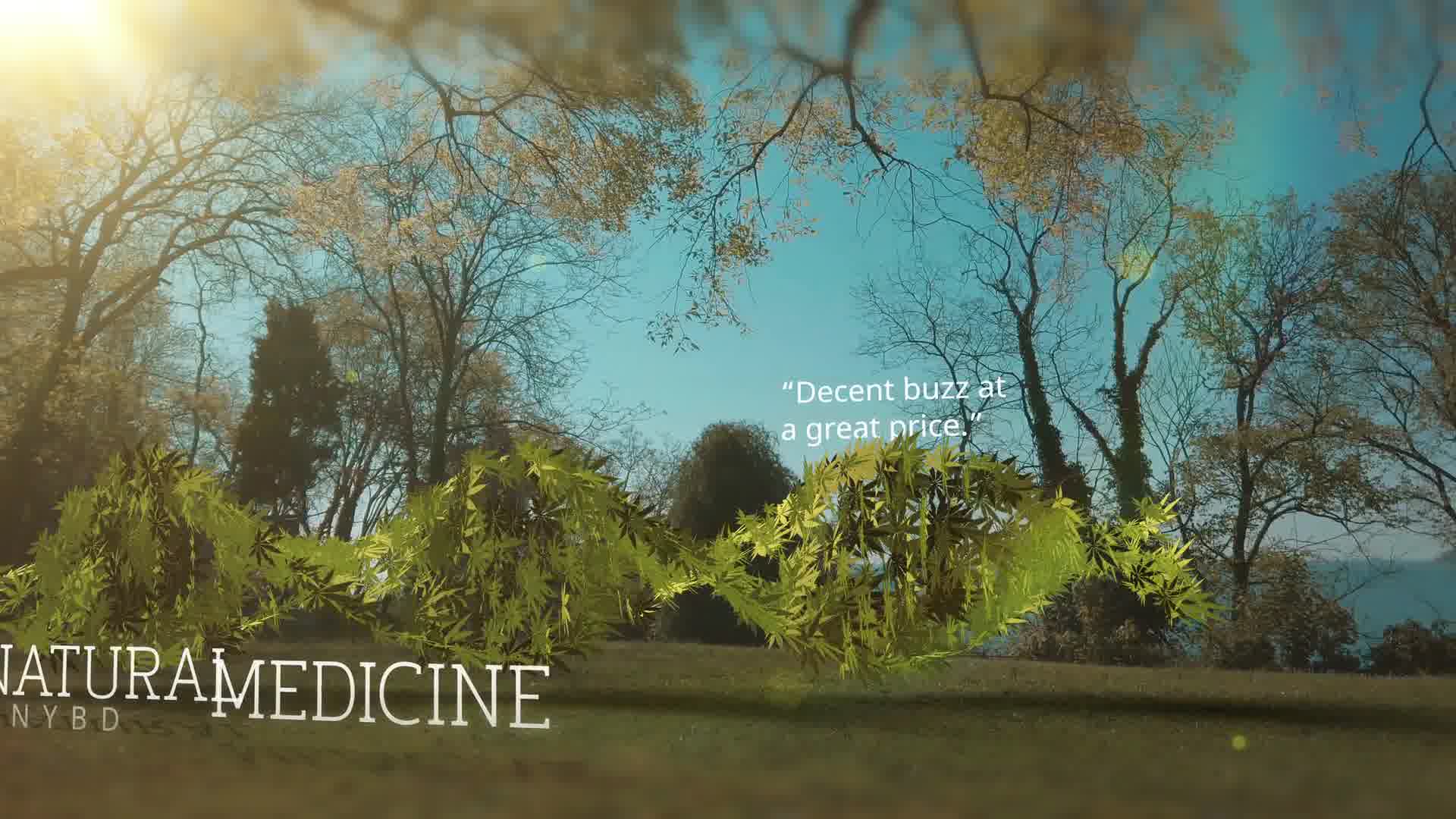 Medical Marijuana DNA Strand Intro Videohive 26593710 After Effects Image 10