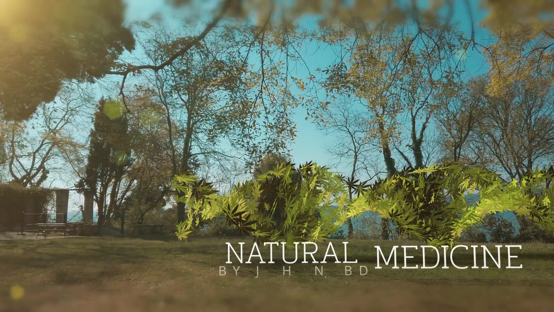 Medical Marijuana DNA Strand Intro Videohive 26593710 After Effects Image 4