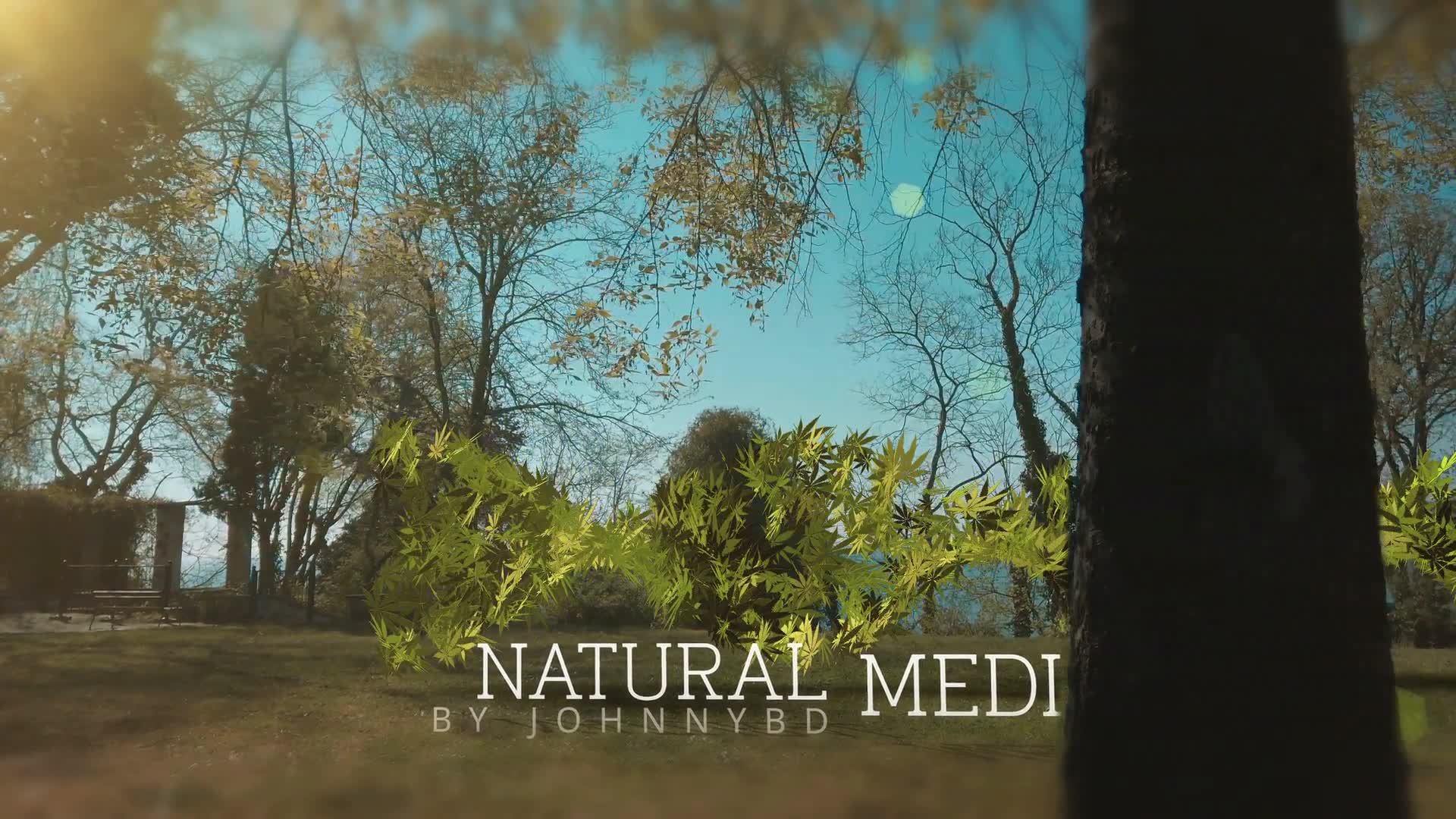 Medical Marijuana DNA Strand Intro Videohive 26593710 After Effects Image 5
