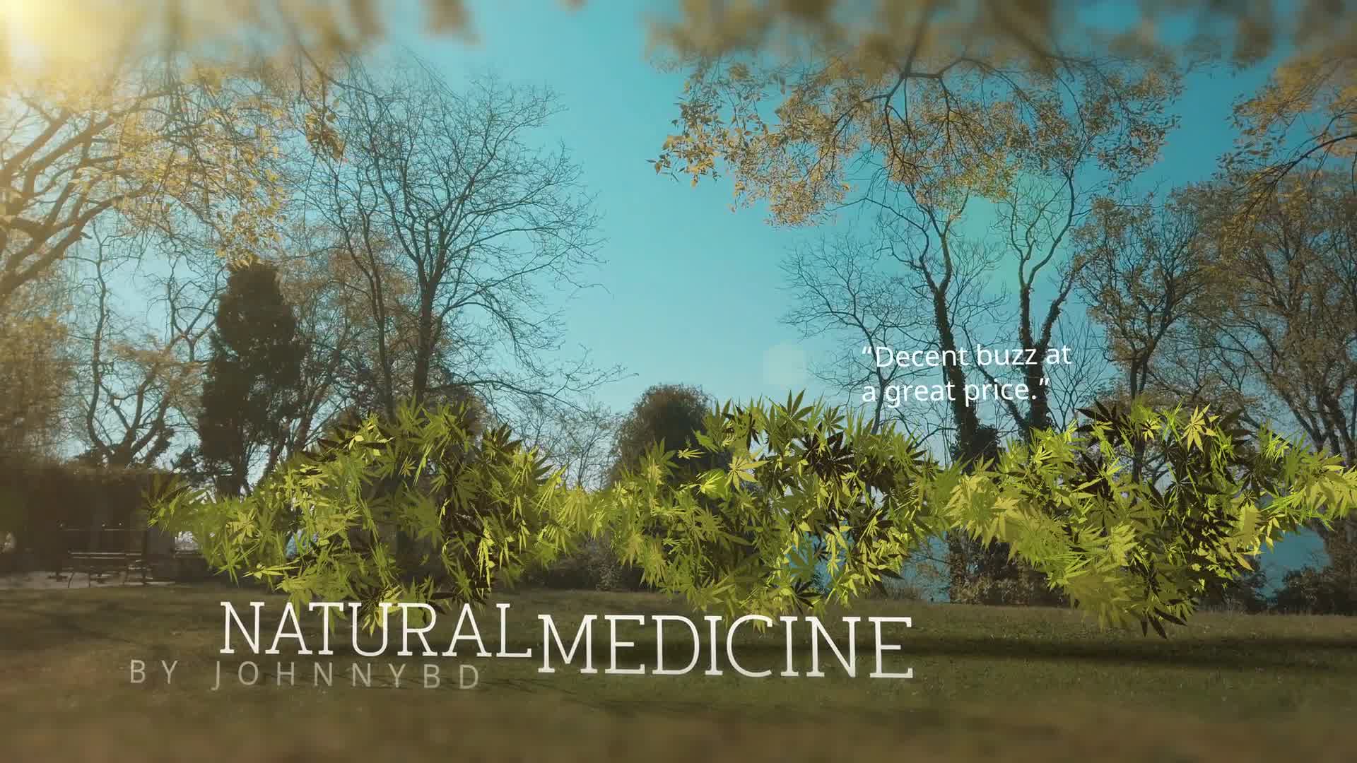 Medical Marijuana DNA Strand Intro Videohive 26593710 After Effects Image 7