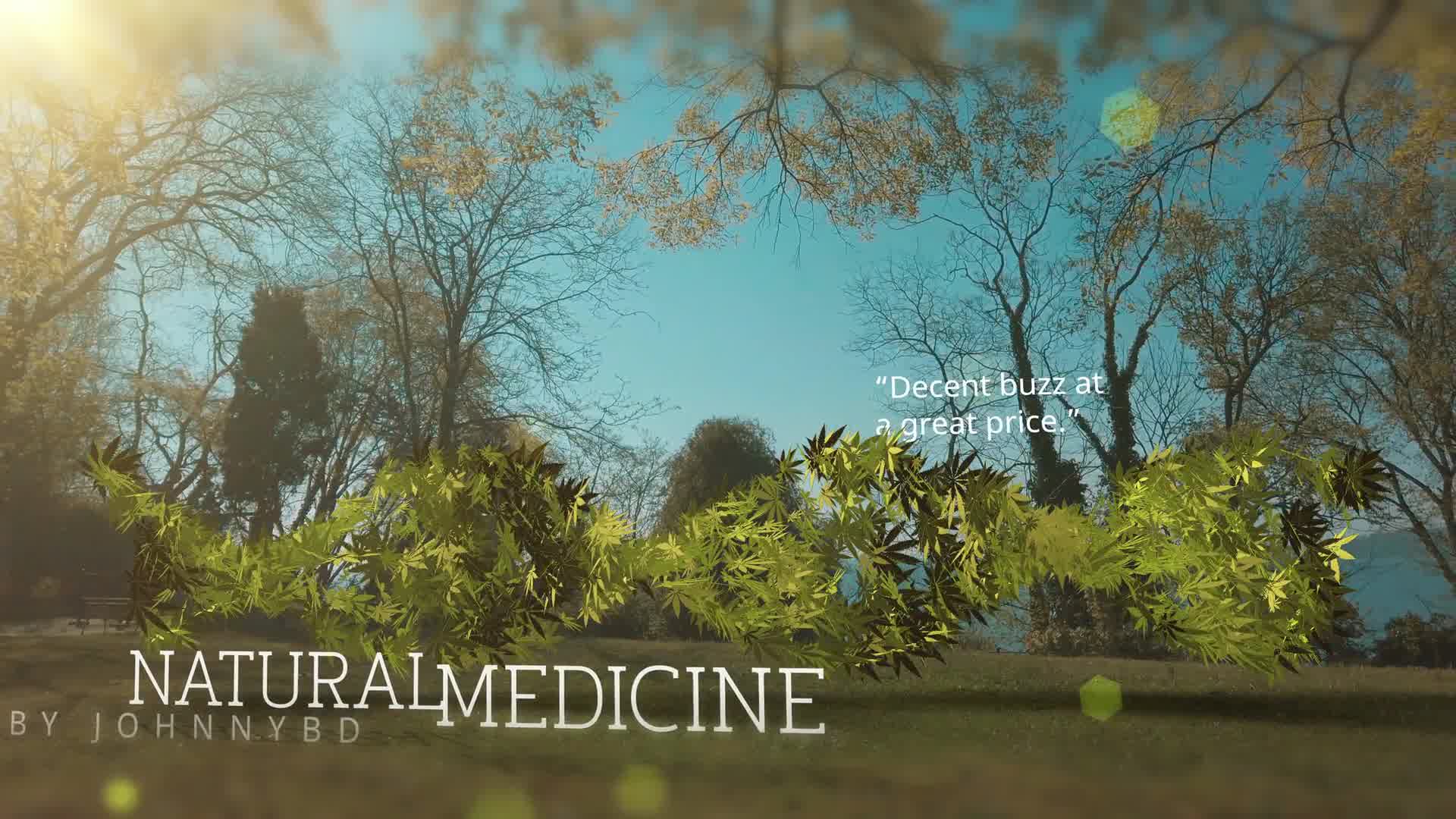 Medical Marijuana DNA Strand Intro Videohive 26593710 After Effects Image 8