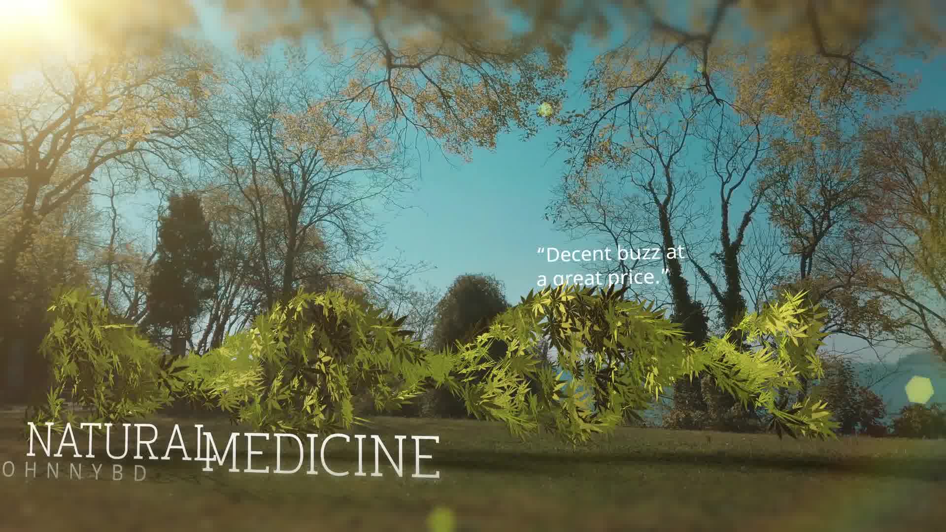 Medical Marijuana DNA Strand Intro Videohive 26593710 After Effects Image 9