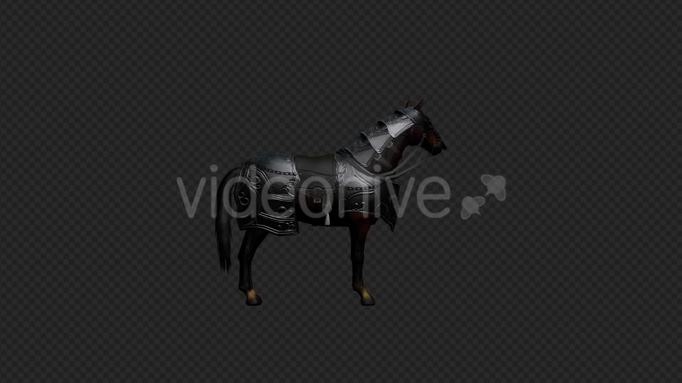Medieval Horse - Download Videohive 19768764