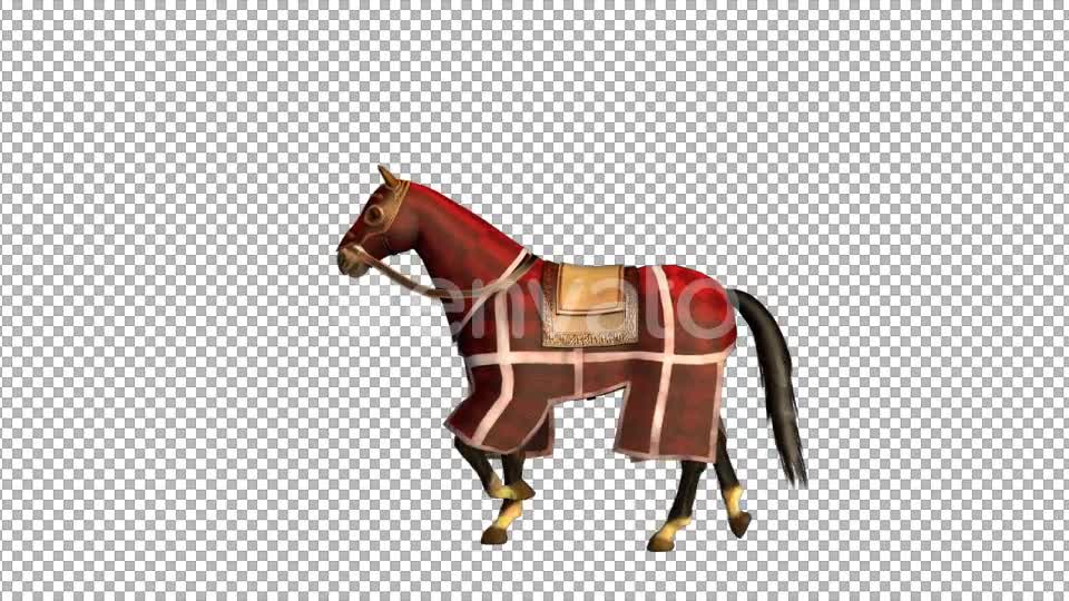 Medieval War Horse Canter Walk Start and Stop - Download Videohive 21952875