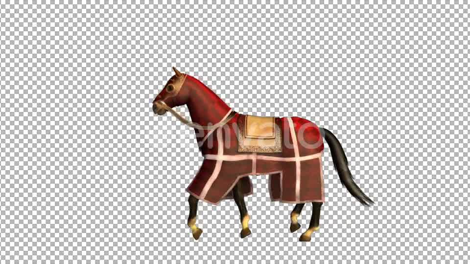 Medieval War Horse Canter Walk Start and Stop - Download Videohive 21952875