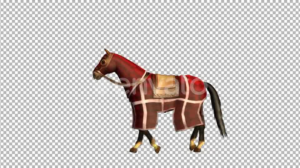 Medieval War Horse Canter Walk Start and Stop - Download Videohive 21952875