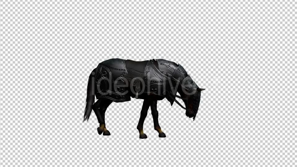 Medieval War Horse Eating Grazing - Download Videohive 19775308