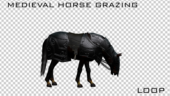 Medieval War Horse Eating Grazing - Download Videohive 19775308
