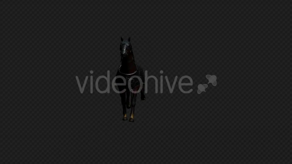 Medieval War Horse Gallop - Download Videohive 19768741