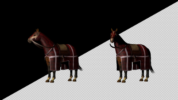 Medieval War Horse Looking Around - Download Videohive 21940310