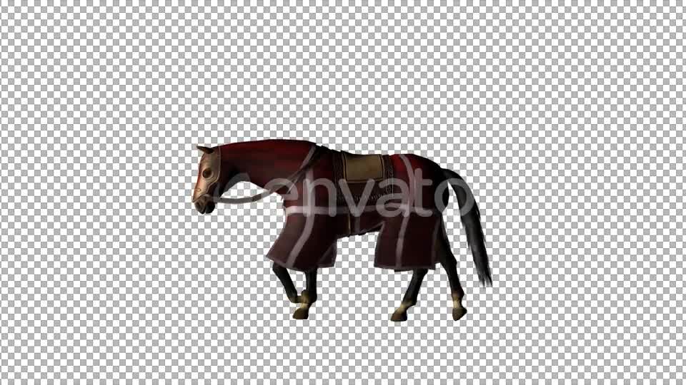 Medieval War Horse Slow Walk - Download Videohive 21952981