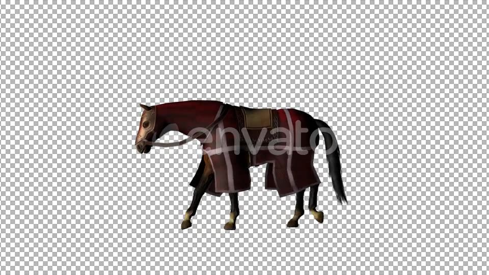 Medieval War Horse Slow Walk - Download Videohive 21952981