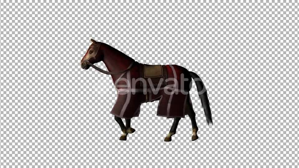 Medieval War Horse Walk - Download Videohive 21953013