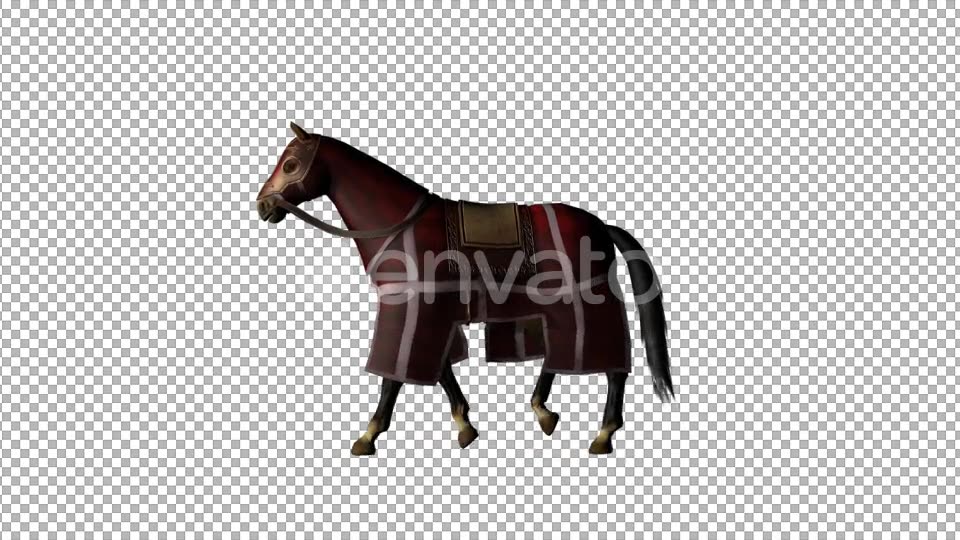 Medieval War Horse Walk - Download Videohive 21953013