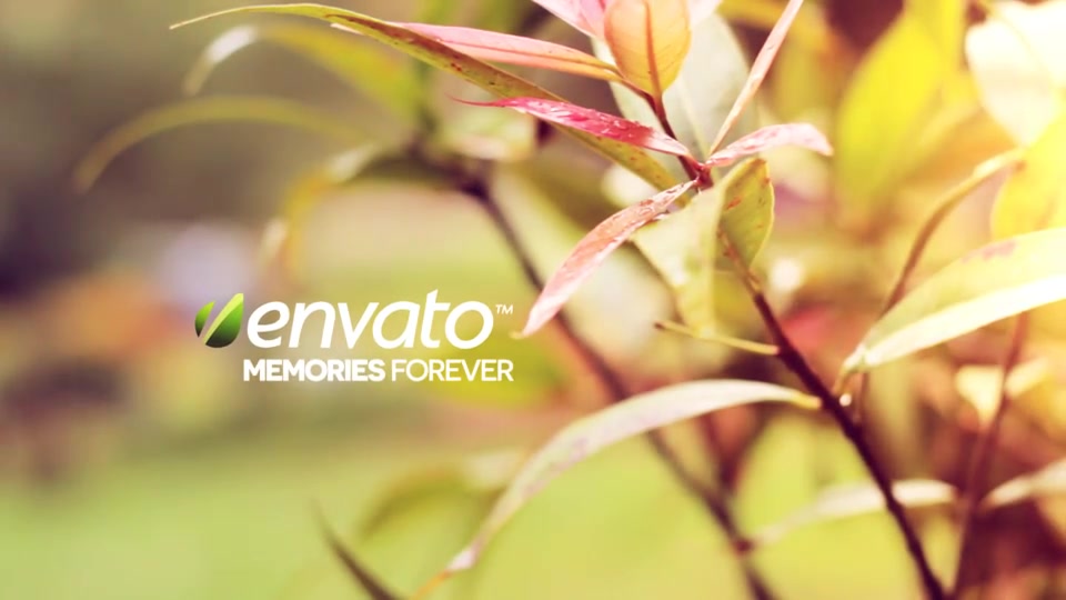 Memories Forever - Download Videohive 6560530