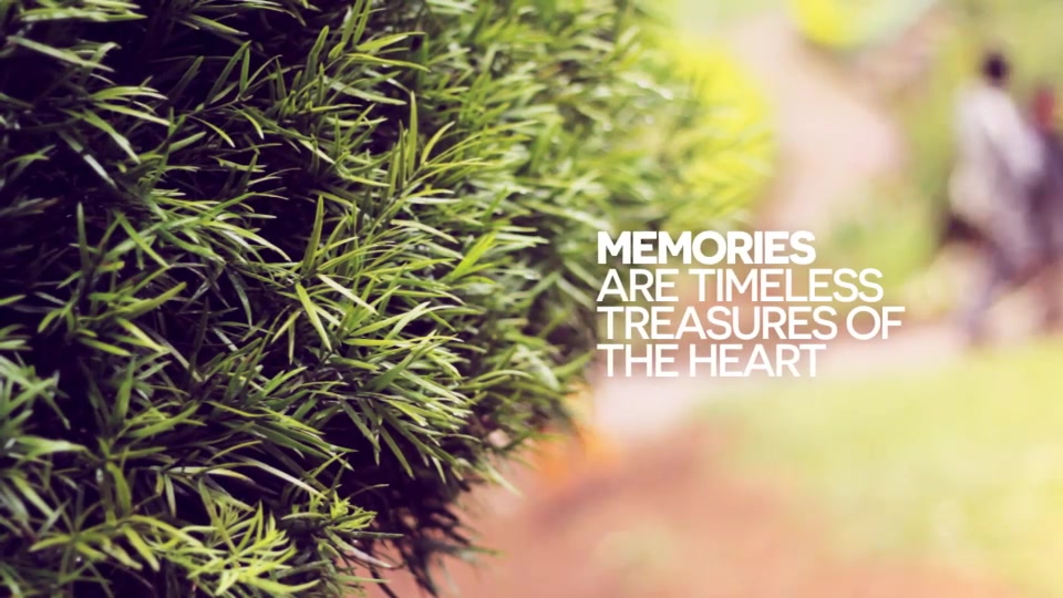 Memories Forever - Download Videohive 6560530