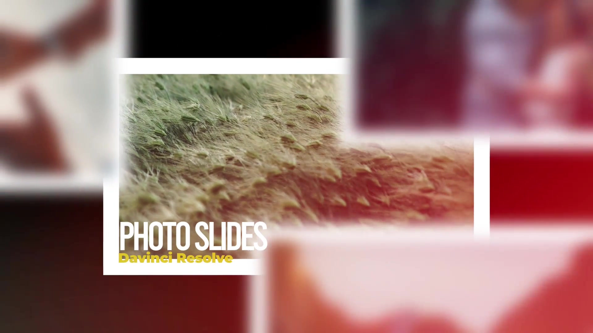 Memories Photo Slides Videohive 29867941 DaVinci Resolve Image 8