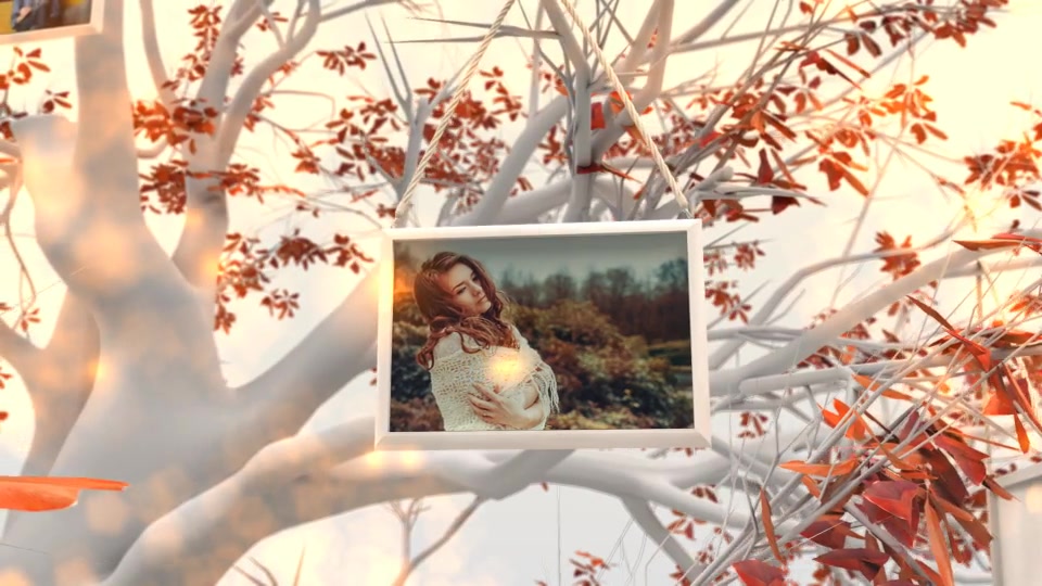 Videohive photo memories on trees 19338045 download free download