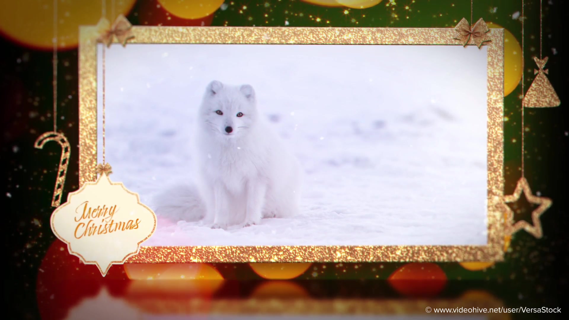 Merry Christmas and a Happy New Year Slideshow Videohive 25194925 After Effects Image 8