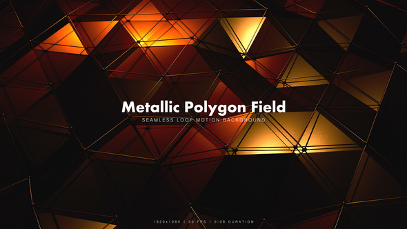 Metallic Polygon Field 2 - Download Videohive 21425878