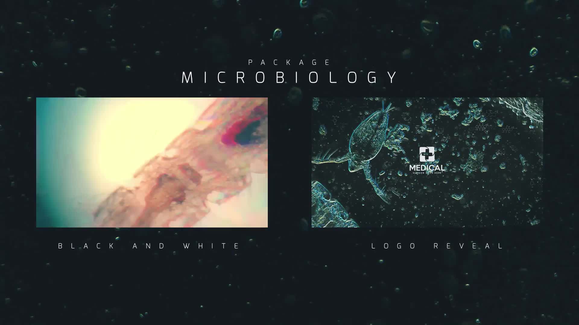 Microbiology Package Videohive 24386328 After Effects Image 1