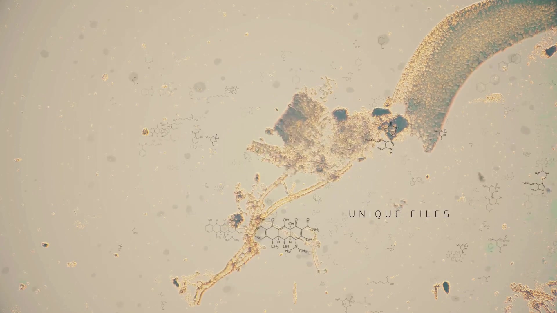 Microbiology Package Videohive 24386328 After Effects Image 11