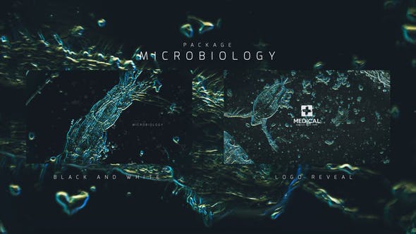 Microbiology Package - Videohive 24386328 Download