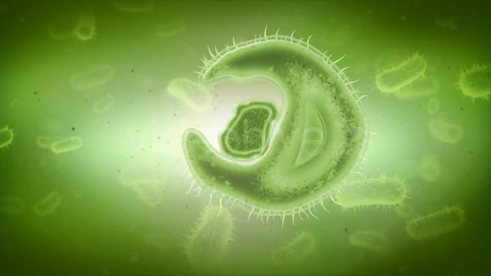 Microcosm Template Videohive 2286175 After Effects Image 8