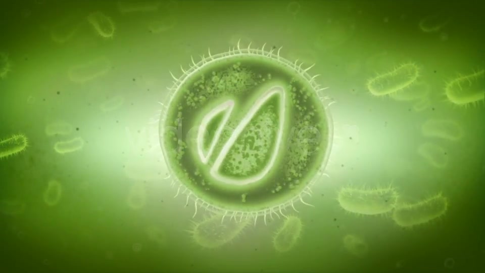 Microcosm Template Videohive 2286175 After Effects Image 9