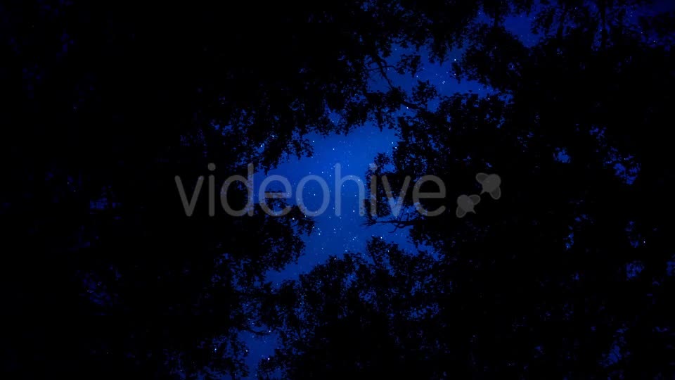 Milky Way And Forest - Download Videohive 19645653
