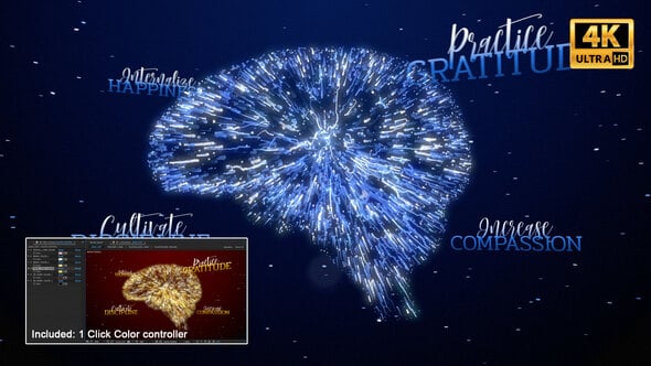 Mindset Emerging Thought Intro 4K - 24293512 Download Videohive