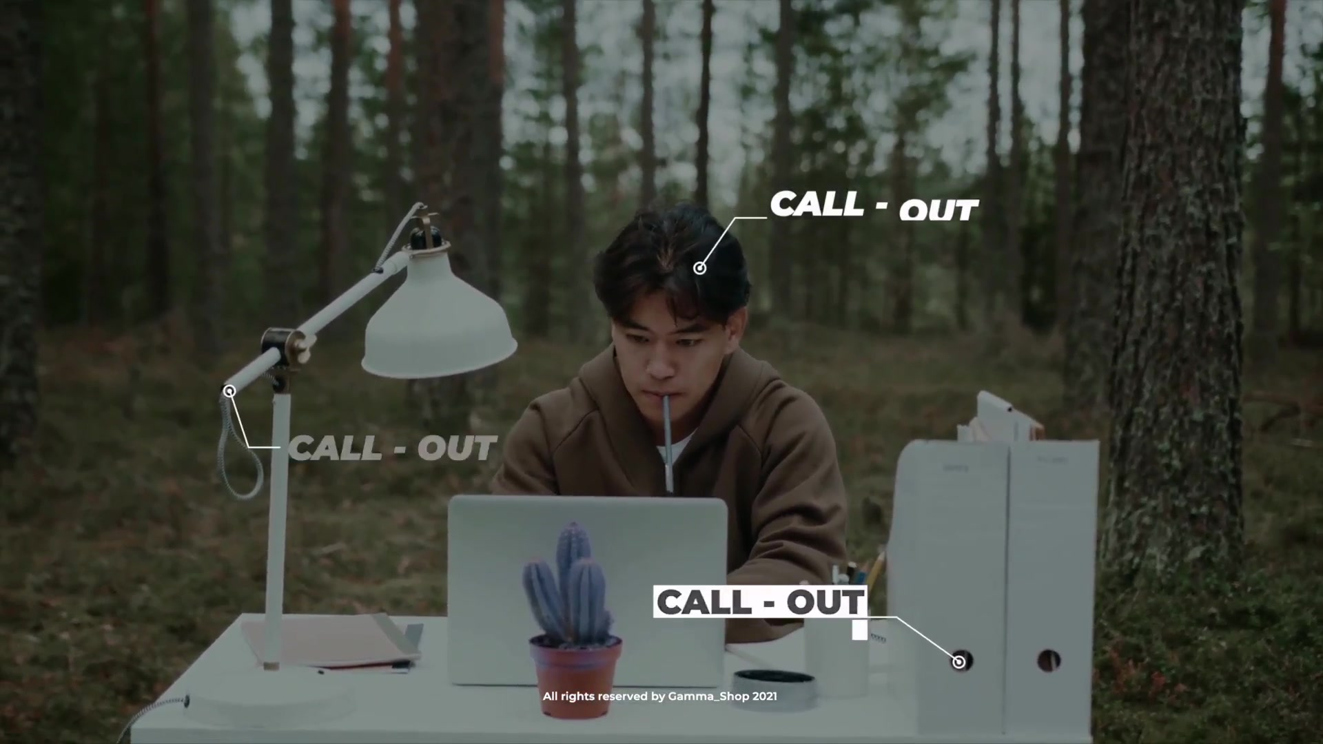 Minimal Call Outs | After Effects Videohive 33765424 After Effects Image 6