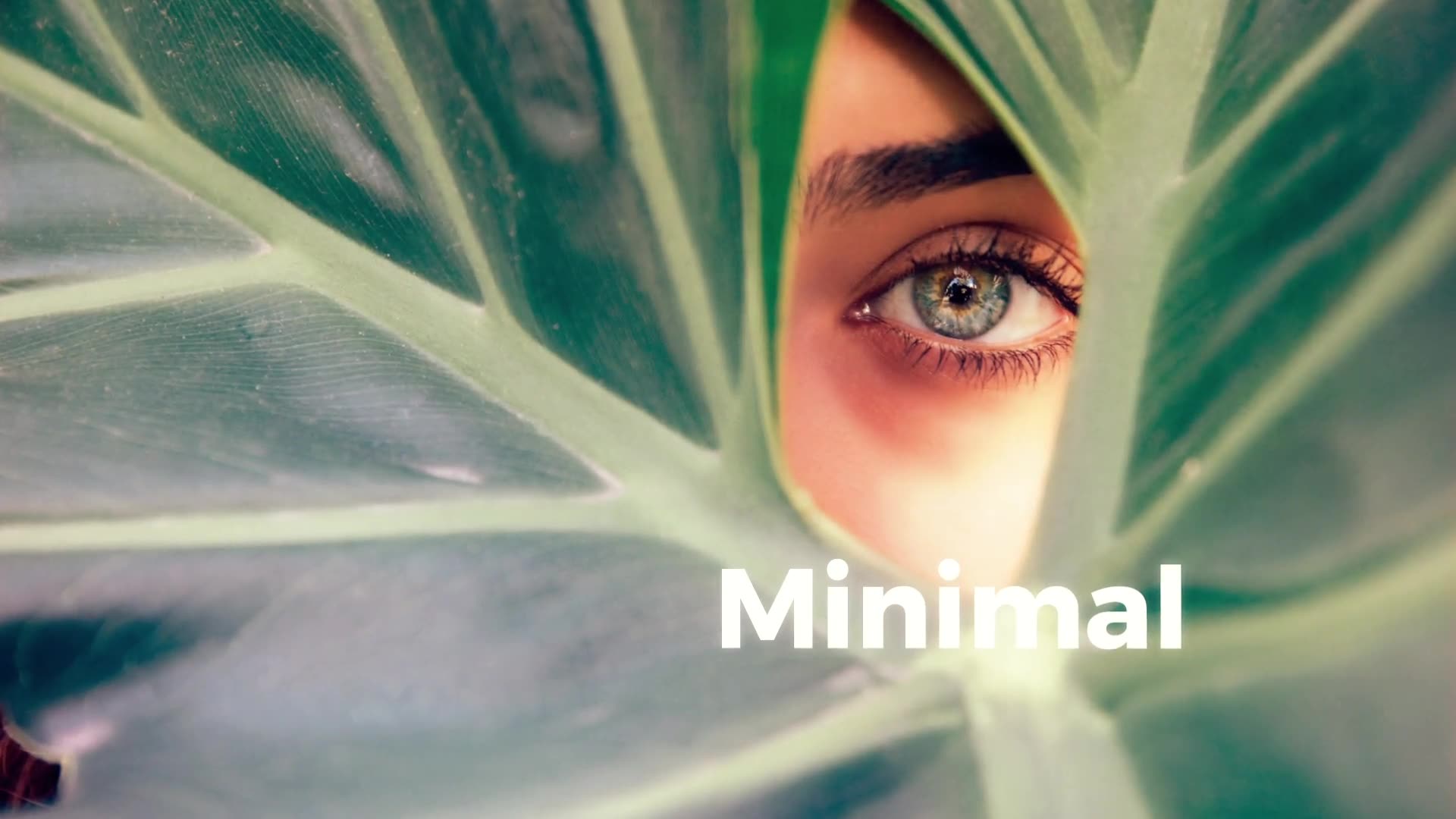 Minimal & Clean Slideshow Videohive 22149599 Premiere Pro Image 7