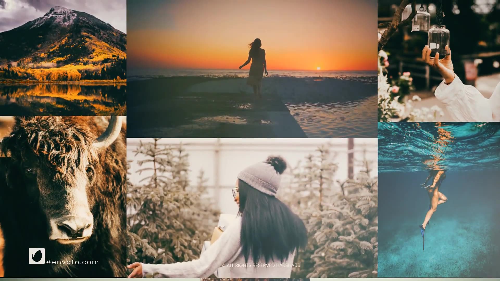 Minimal Clean Slideshow Videohive 32048131 After Effects Image 3
