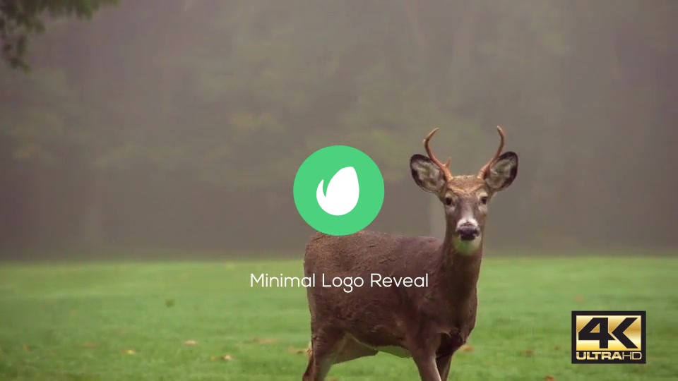 Minimal Logo Reveal Pack - Download Videohive 15403253