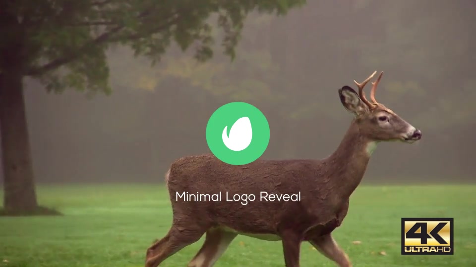 Minimal Logo Reveal Pack - Download Videohive 15403253