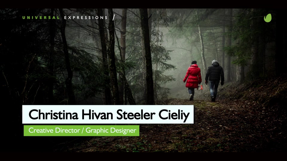 Minimal Lower Thirds For Final Cut Pro X - Download Videohive 19685271