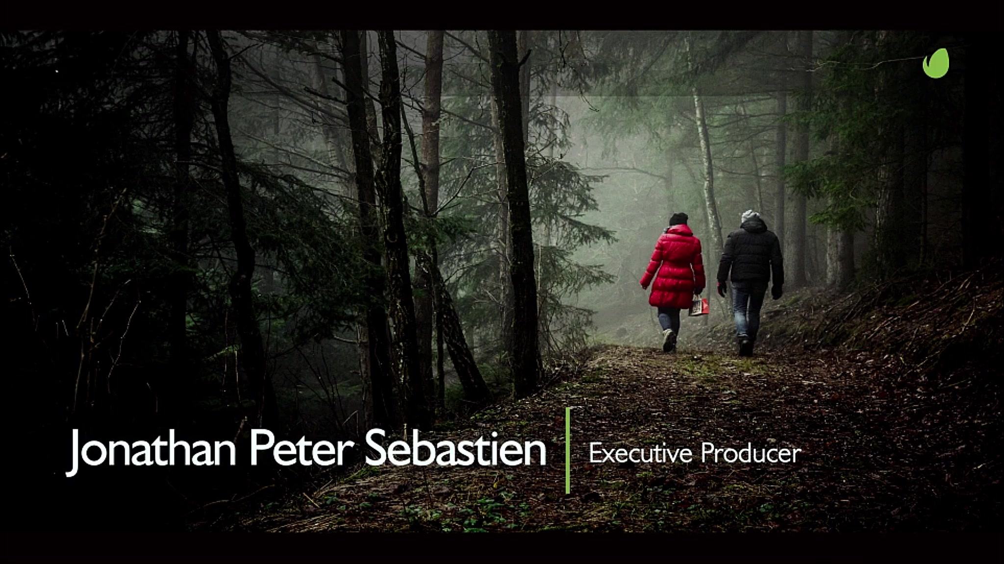 Minimal Lower Thirds for Premiere - Download Videohive 21961265