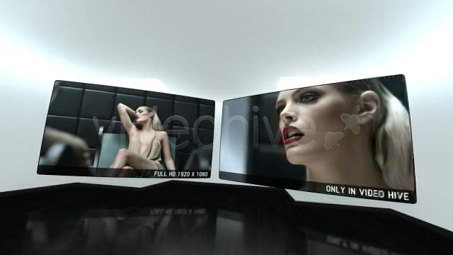 Minimal Luxe - Download Videohive 234098