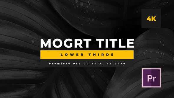 Minimal Mogrt Lower Thirds - Videohive 26363874 Download