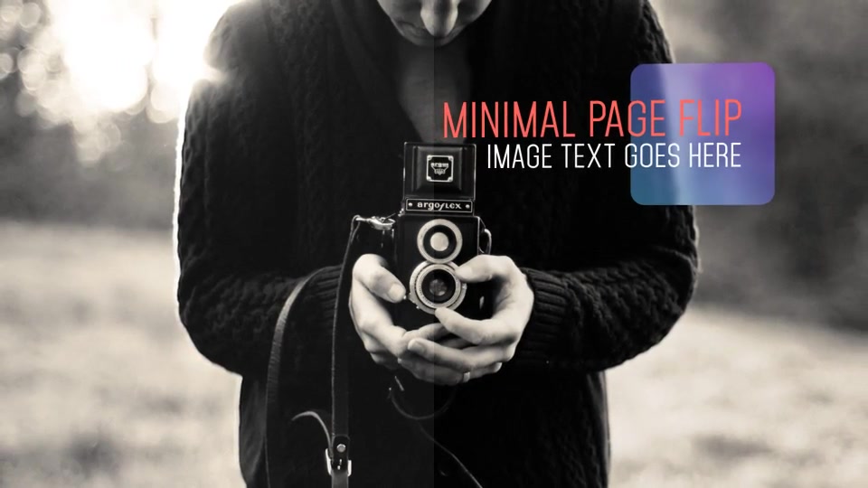Minimal Page Flip - Download Videohive 8258159