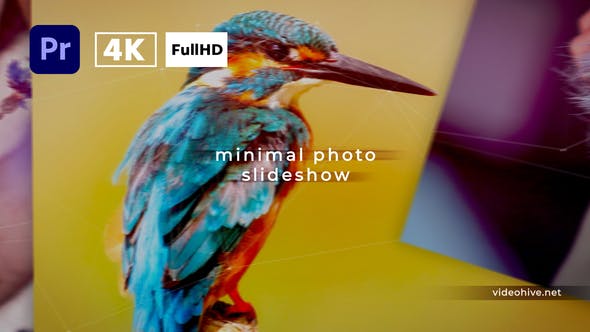 Minimal Photo Slideshow 2 | Premiere Pro - Download 36456731 Videohive