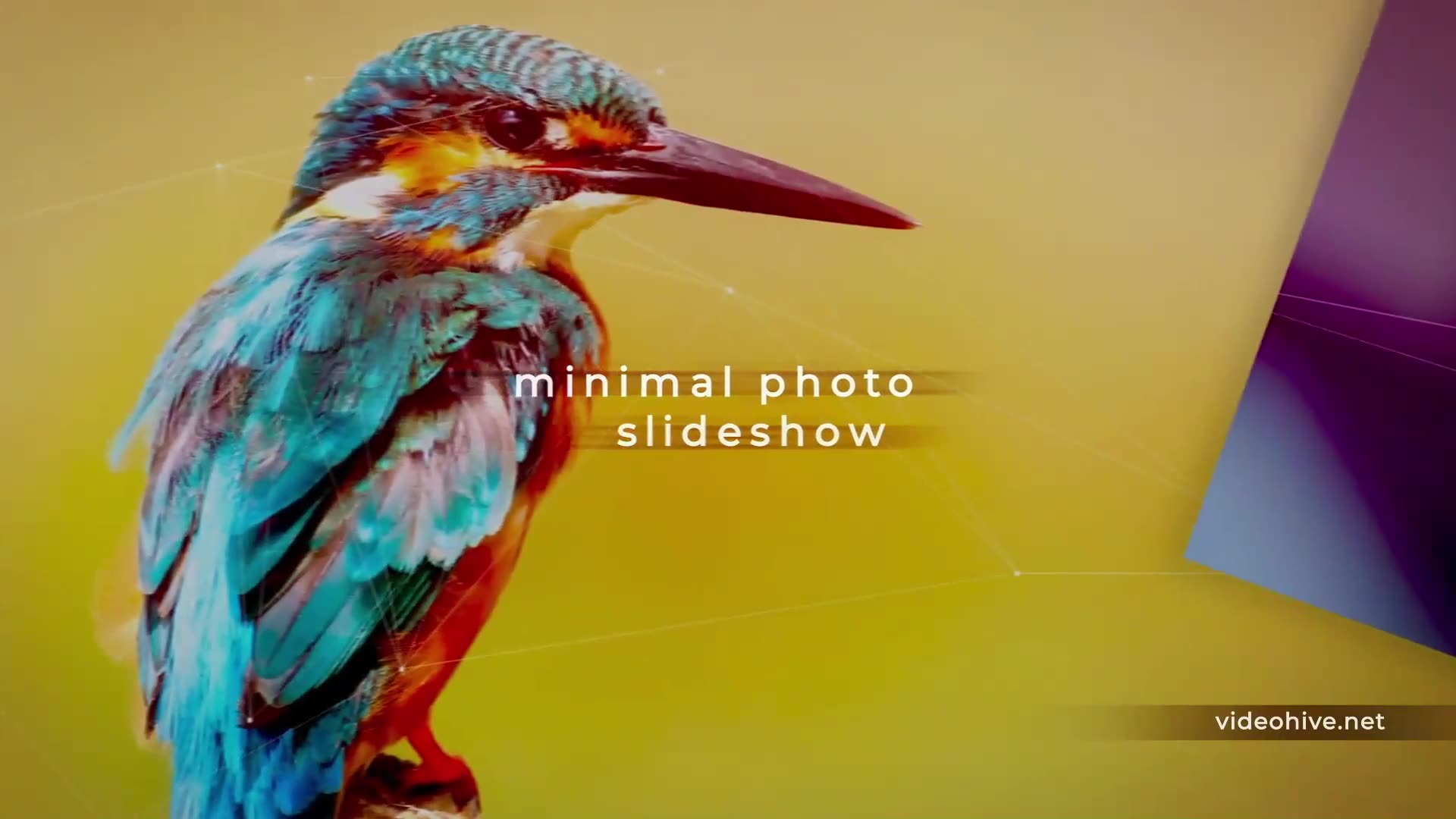 Minimal Photo Slideshow Videohive 29653460 After Effects Image 2