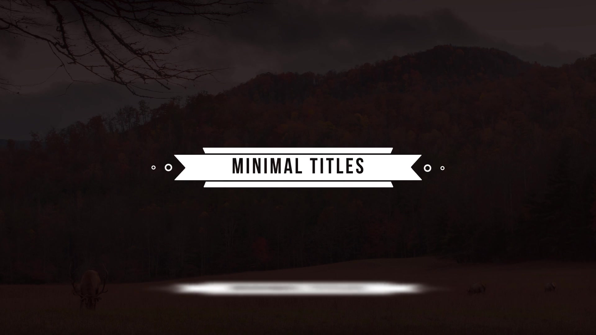 Minimal Titles - Download Videohive 18950538