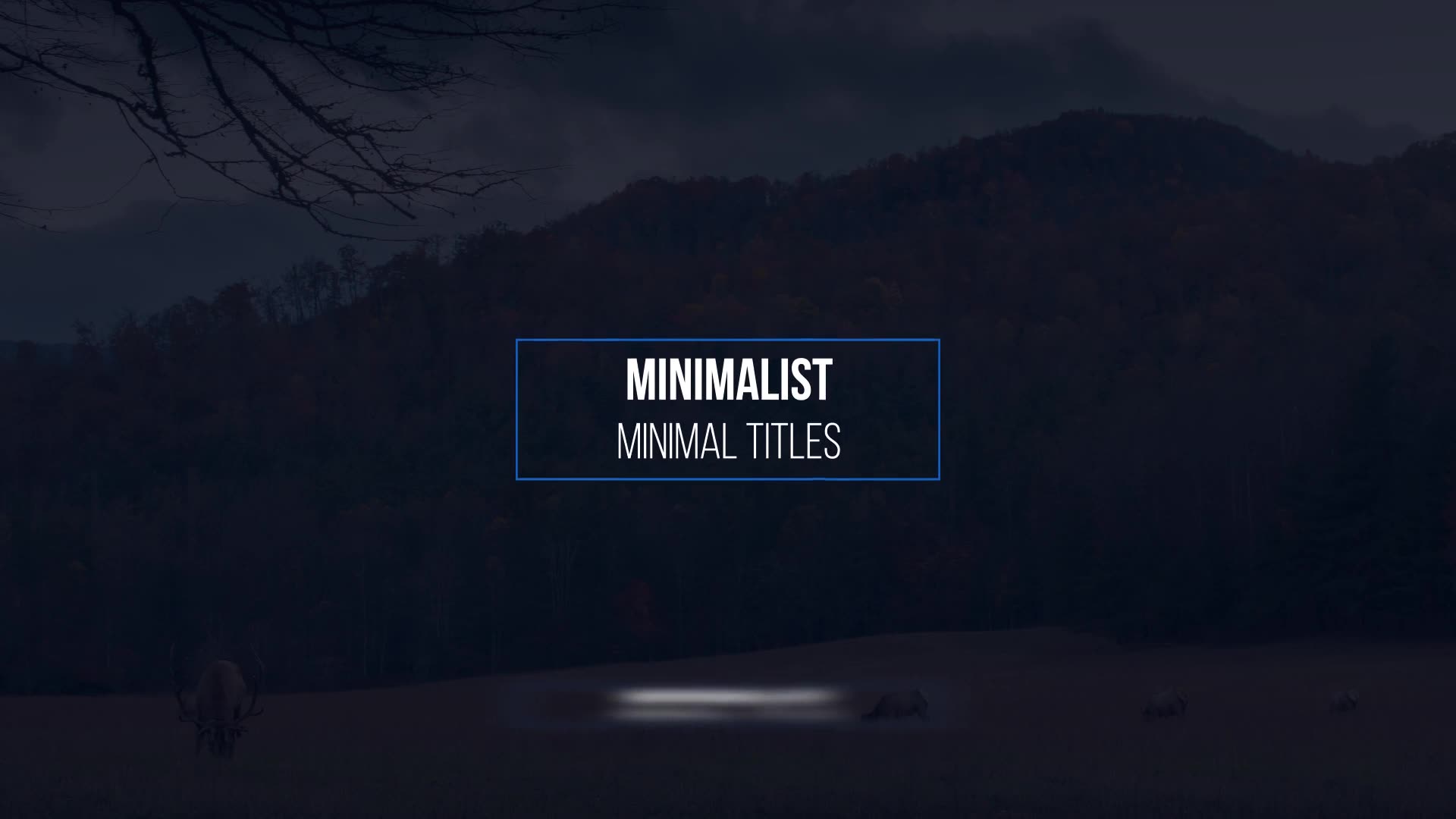 Minimal Titles - Download Videohive 18950538