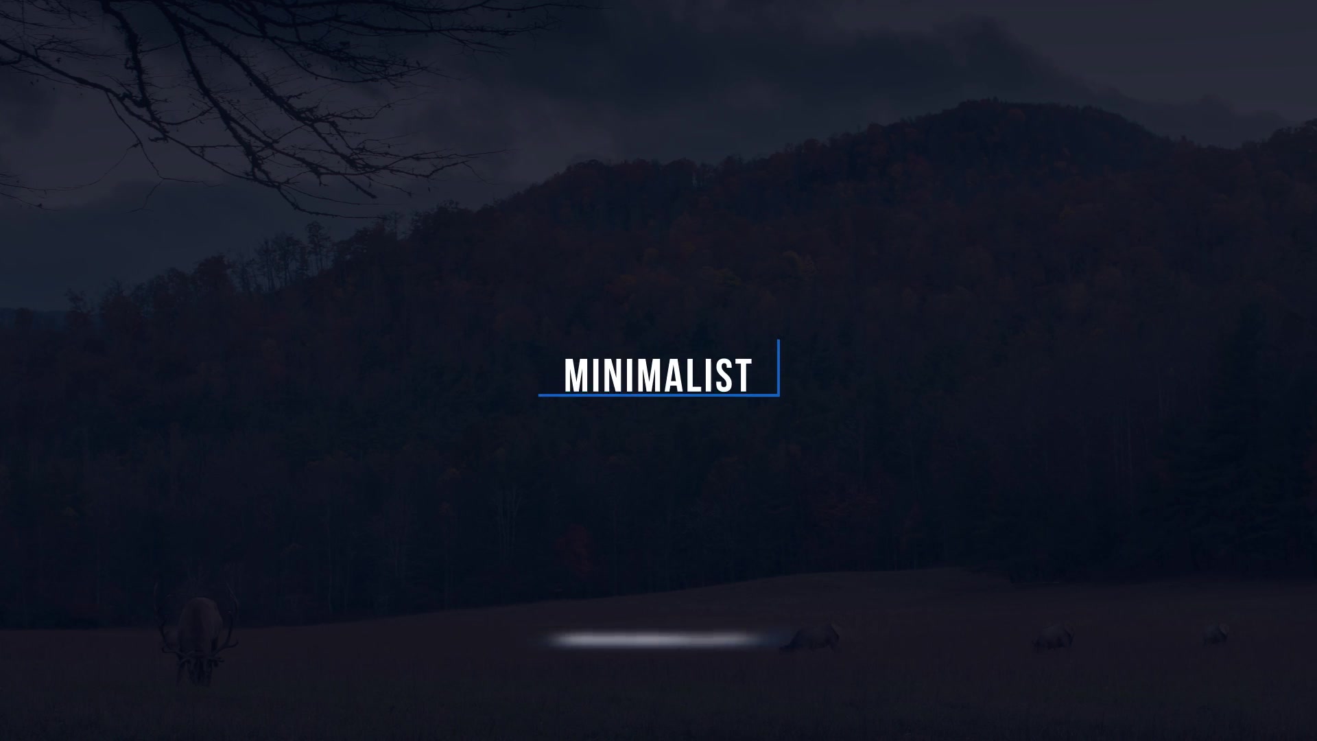 Minimal Titles - Download Videohive 18950538