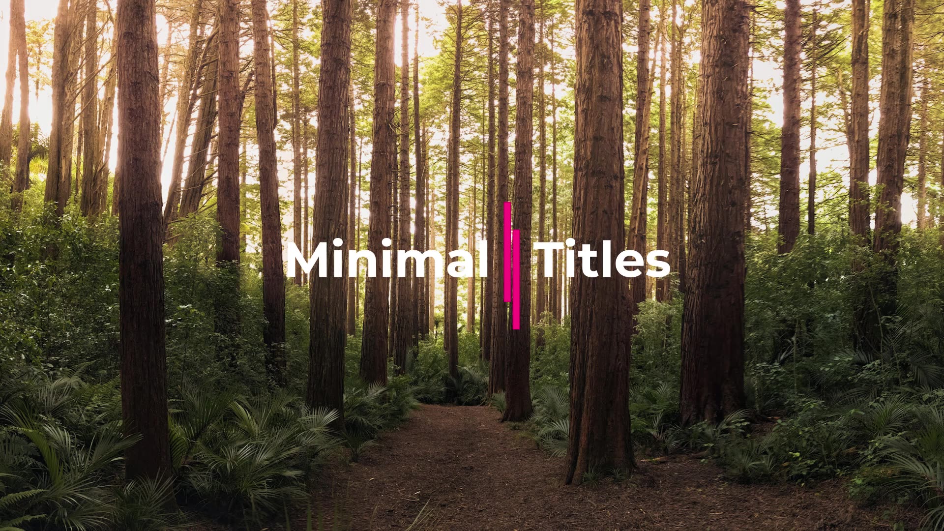 Minimal Titles Videohive 38781379 Premiere Pro Image 13