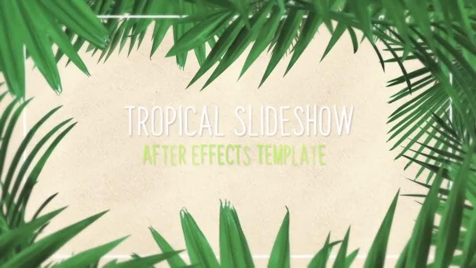 Minimal Tropical Slideshow Videohive 25855642 After Effects Image 1